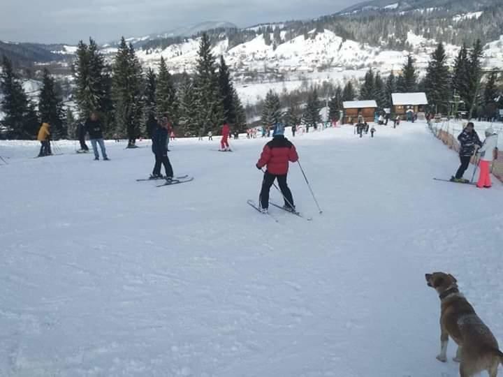 Загородные дома Гостинний двір 